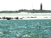 Zeehonden
